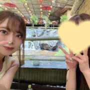 あおい 流しそうめん Versailles