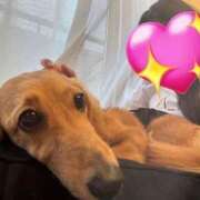 ヒメ日記 2025/06/04 07:45 投稿 れいな 深海魚