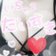 ヒメ日記 2025/09/09 02:29 投稿 ふたば 愛媛松山ちゃんこ