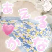 ヒメ日記 2025/09/15 10:49 投稿 ふたば 愛媛松山ちゃんこ