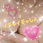 ヒメ日記 2026/02/01 23:49 投稿 ふたば 愛媛松山ちゃんこ