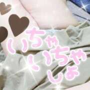 ヒメ日記 2026/02/10 23:59 投稿 ふたば 愛媛松山ちゃんこ