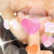 ヒメ日記 2026/02/14 21:09 投稿 ふたば 愛媛松山ちゃんこ