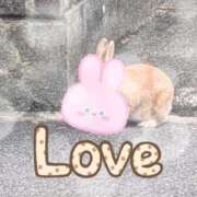 ヒメ日記 2026/02/26 19:49 投稿 ふたば 愛媛松山ちゃんこ