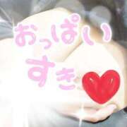 ヒメ日記 2026/03/02 20:23 投稿 ふたば 愛媛松山ちゃんこ