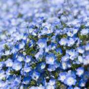 ヒメ日記 2025/05/24 17:24 投稿 くみ 人妻・若妻デリヘル レディプレイス