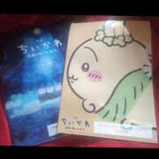 ヒメ日記 2026/04/18 11:41 投稿 くみ 人妻・若妻デリヘル レディプレイス