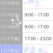 ヒメ日記 2023/11/13 11:56 投稿 波田　しい しこたま奥様 札幌店