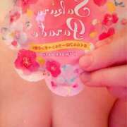 ヒメ日記 2025/04/20 07:45 投稿 波田　しい しこたま奥様 札幌店