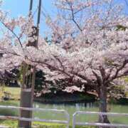 ヒメ日記 2025/05/01 18:45 投稿 波田　しい しこたま奥様 札幌店