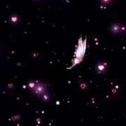 ヒメ日記 2025/06/10 12:12 投稿 波田　しい しこたま奥様 札幌店