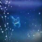 ヒメ日記 2025/10/08 11:55 投稿 波田　しい しこたま奥様 札幌店