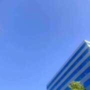 ヒメ日記 2025/11/19 09:45 投稿 波田　しい しこたま奥様 札幌店