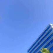 ヒメ日記 2025/11/21 12:15 投稿 波田　しい しこたま奥様 札幌店