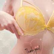 ヒメ日記 2026/02/23 12:06 投稿 波田　しい しこたま奥様 札幌店