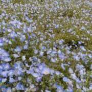 ヒメ日記 2025/05/03 06:20 投稿 はるか 吉野ケ里人妻デリヘル 「デリ夫人」