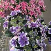 ヒメ日記 2025/05/11 07:00 投稿 はるか 吉野ケ里人妻デリヘル 「デリ夫人」