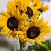 ヒメ日記 2025/08/03 14:28 投稿 はるか 吉野ケ里人妻デリヘル 「デリ夫人」