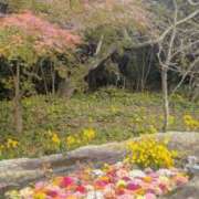 ヒメ日記 2025/11/27 20:28 投稿 はるか 吉野ケ里人妻デリヘル 「デリ夫人」