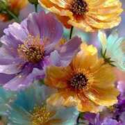 ヒメ日記 2025/07/21 10:54 投稿 るい エンブレイス　ダイヤモンド