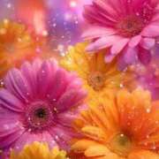 ヒメ日記 2025/08/13 15:02 投稿 るい エンブレイス　ダイヤモンド