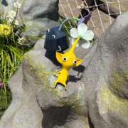 ヒメ日記 2025/08/17 21:40 投稿 るい エンブレイス　ダイヤモンド