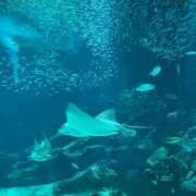 ヒメ日記 2025/08/26 12:46 投稿 るい エンブレイス　ダイヤモンド