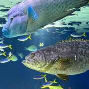 ヒメ日記 2025/09/01 15:45 投稿 るい エンブレイス　ダイヤモンド