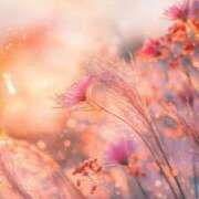 ヒメ日記 2025/09/07 19:44 投稿 るい エンブレイス　ダイヤモンド