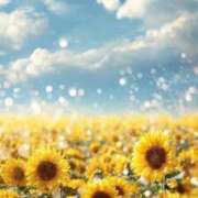 ヒメ日記 2025/09/08 20:15 投稿 るい エンブレイス　ダイヤモンド