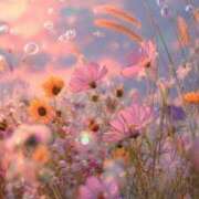 ヒメ日記 2025/09/08 22:01 投稿 るい エンブレイス　ダイヤモンド