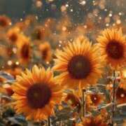 ヒメ日記 2025/09/28 18:10 投稿 るい エンブレイス　ダイヤモンド