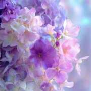 ヒメ日記 2025/10/04 12:01 投稿 るい エンブレイス　ダイヤモンド