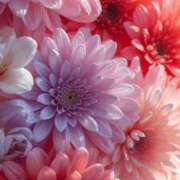 ヒメ日記 2025/10/13 07:30 投稿 るい エンブレイス　ダイヤモンド