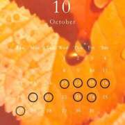 ヒメ日記 2025/10/15 19:01 投稿 るい エンブレイス　ダイヤモンド