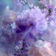 ヒメ日記 2025/10/26 02:00 投稿 るい エンブレイス　ダイヤモンド