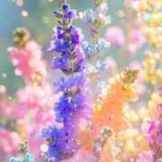 ヒメ日記 2025/10/27 00:36 投稿 るい エンブレイス　ダイヤモンド