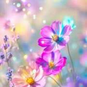 ヒメ日記 2025/10/27 08:01 投稿 るい エンブレイス　ダイヤモンド