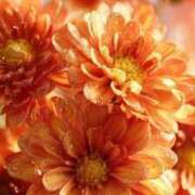 ヒメ日記 2025/11/04 12:04 投稿 るい エンブレイス　ダイヤモンド