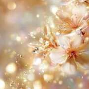 ヒメ日記 2025/11/06 11:30 投稿 るい エンブレイス　ダイヤモンド