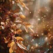 ヒメ日記 2025/11/10 12:04 投稿 るい エンブレイス　ダイヤモンド