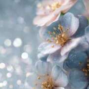 ヒメ日記 2025/11/10 13:30 投稿 るい エンブレイス　ダイヤモンド