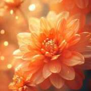 ヒメ日記 2025/11/11 20:04 投稿 るい エンブレイス　ダイヤモンド