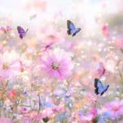 ヒメ日記 2025/11/12 13:31 投稿 るい エンブレイス　ダイヤモンド