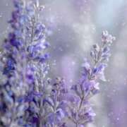 ヒメ日記 2025/11/29 13:30 投稿 るい エンブレイス　ダイヤモンド