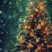 ヒメ日記 2025/12/01 20:31 投稿 るい エンブレイス　ダイヤモンド