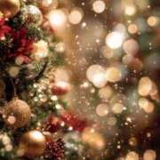 ヒメ日記 2025/12/04 11:25 投稿 るい エンブレイス　ダイヤモンド