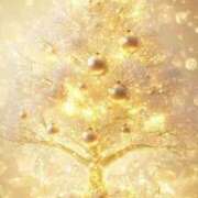 ヒメ日記 2025/12/27 12:38 投稿 るい エンブレイス　ダイヤモンド