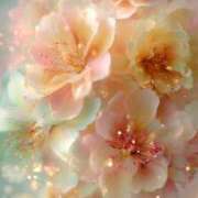 ヒメ日記 2026/01/04 20:30 投稿 るい エンブレイス　ダイヤモンド