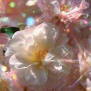 ヒメ日記 2026/01/15 19:42 投稿 るい エンブレイス　ダイヤモンド